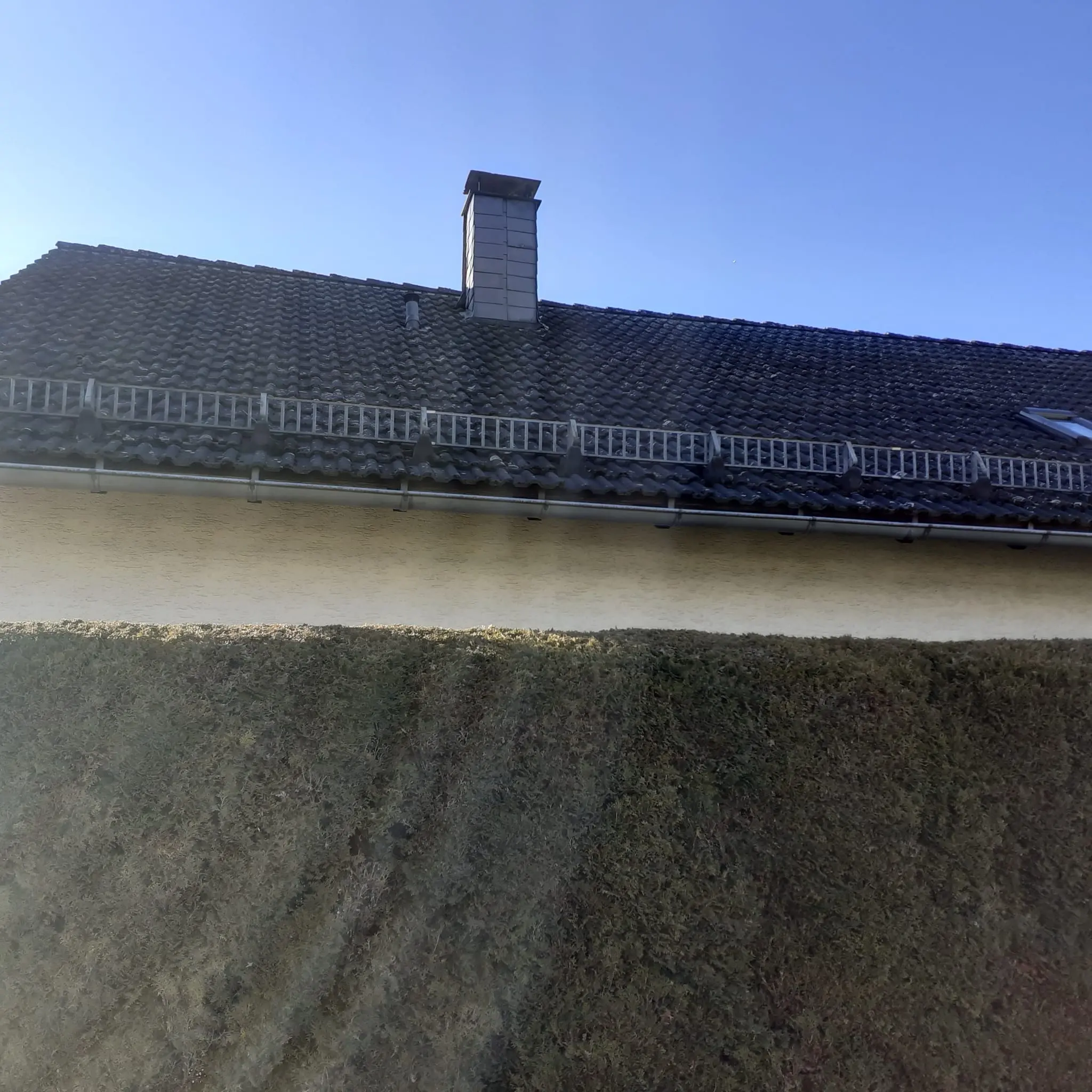 Dach vorher/nachher Reinigung